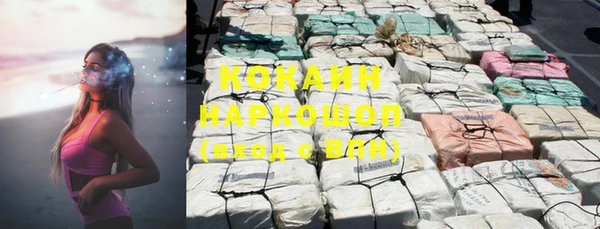 шишки Горно-Алтайск