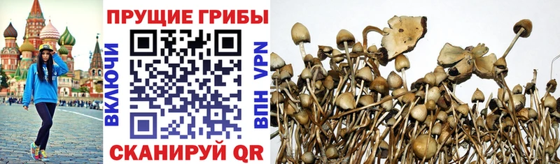 Псилоцибиновые грибы Magic Shrooms  Псков 